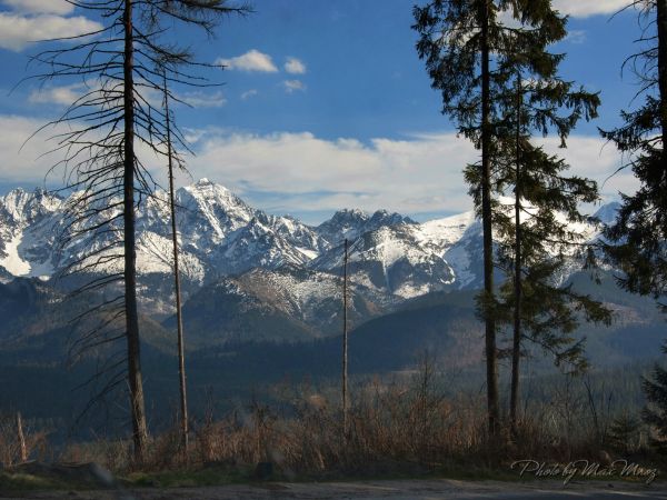 Wiosna w górach ...