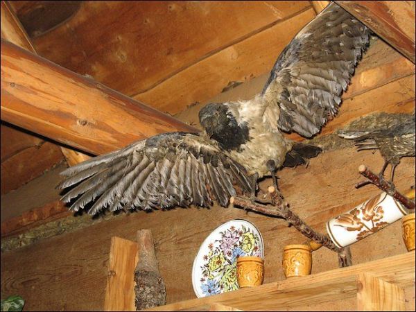 Wnętrze karczmy "Poprad"