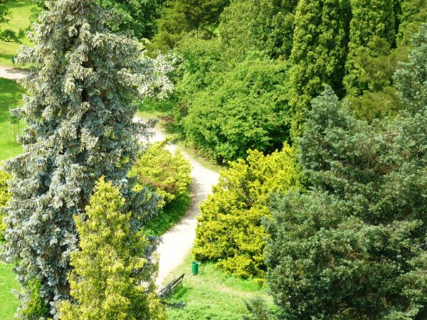 Jedna z najpiękniejszych rezydencji pałacowych w Polsce. Położona 10 km na południe od Przemyśla.  Zamek - pałac powstał w XVI wieku.  Przez kolejne lata rozbud