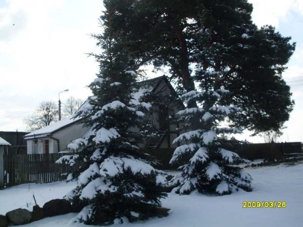 OSTATNI ATAK ZIMY 2009