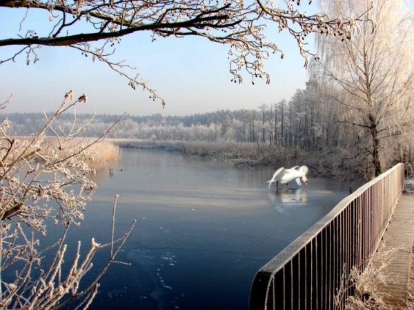 Zimowy punkt widzenia