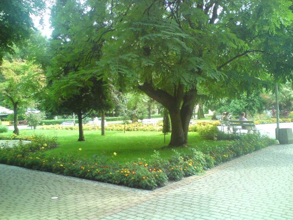 Park Zdrojowy