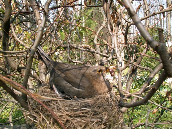 Panie fotograf, trzymaj się pan z daleka od moich dzieci.