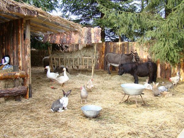 Szopka Bozonarodzeniowa