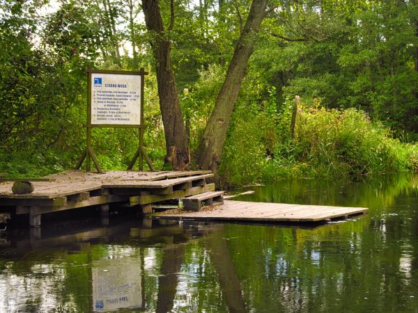 Rzeka Wda. Zdjęcie zrobione z kładki dla pieszych przy kajakarni.
