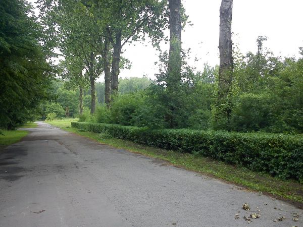 Sosnowiec-Kazimierz Górniczy. Park Leśna.