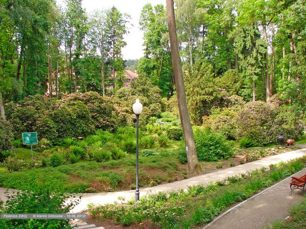 Polanica-Zdrój Park Różanecznikowy