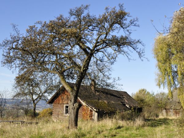 Samotny domek na górce