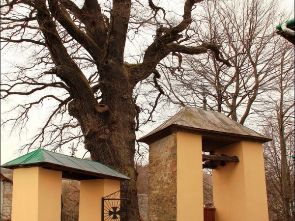 Cerkiew greckokatolicka p.w. Soboru Bogarodzicy w Hłomczy , zbudowana w 1859 r. Obok cerkwi wzniesiono w tym samym czasie dzwonnicę murowaną, w której wiszą trz