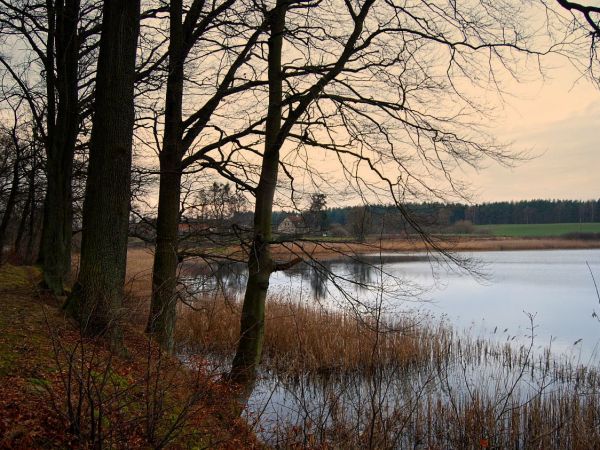 Tulice -widok na jezioro i XIX wieczny folwark (grudzień 2013).