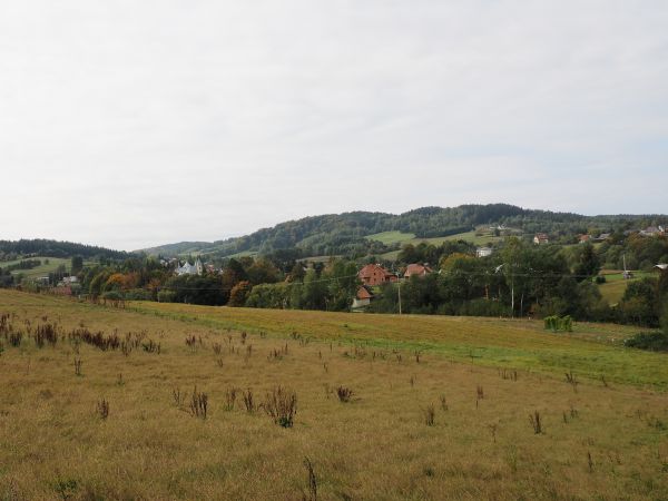 panorama na Myczków ze wzniesień na przysiółku Rapiska  /ew. Rapiszcze - tak też bywa nazywany/.