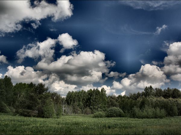 zdjecie Tyniewicze Duże