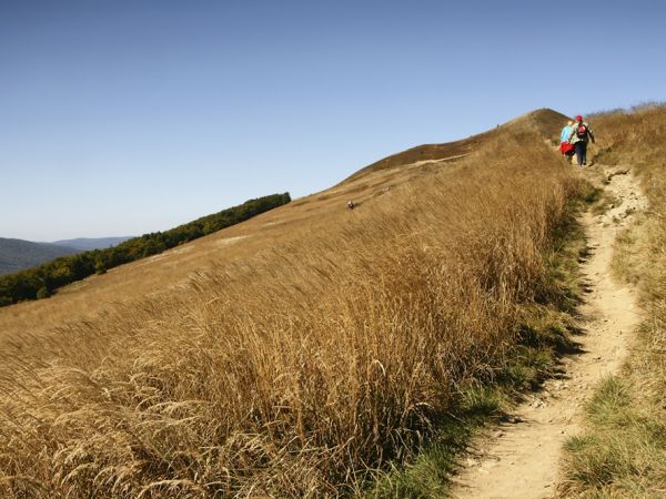Połonina Caryńska-grzbiet