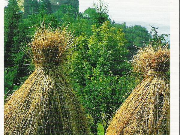 ze zbiorów prywatnych: pocztówka kolekcjonerska - przeł. XX/XXI wieku, zamek Kamieniec. Ruiny zamczyska stanowiły natchnienie dla wielu twórców, bywał też wśród