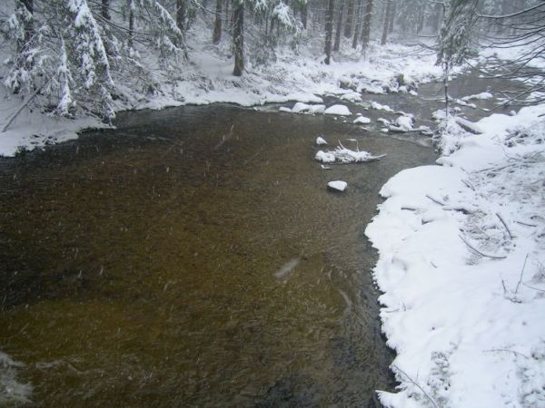 Rzeka Miłoszówka zimą
