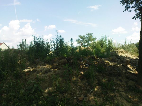 Gruzy spalonego domu, który spłonął podczas burzy w sierpniu 2007 roku.