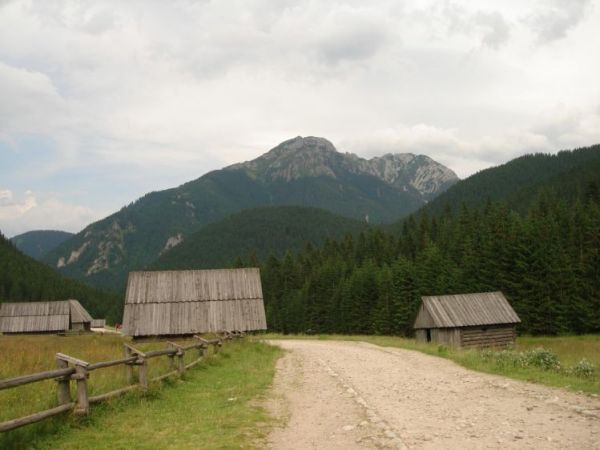 Dolina Chochołowska