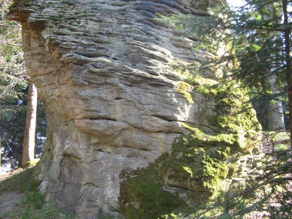 Pomnik przyrody: "Kamienne serce macochy". Po raz pierwszy terminu "pomnik przyrody" użył żyjący w XIXw. niemiecki geograf Aleksander von  Humboldt.Do języka po