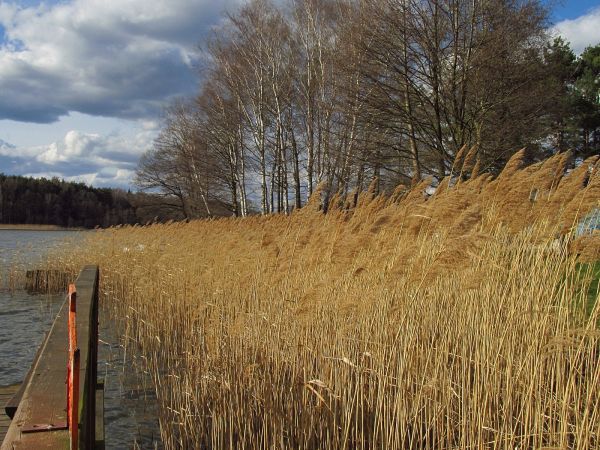 Centrum Rehabilitacyjno - Wypoczynkowe "Dobry Brat" w Dobrym Bracie koło Osieka