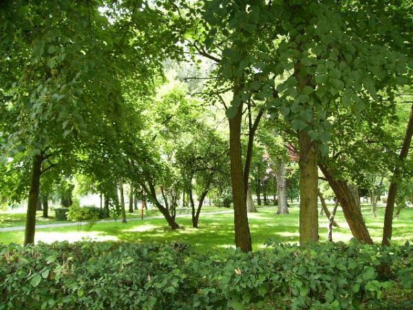 Park