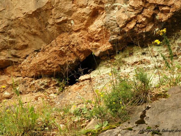 Rezerwat "Skałka Rogoźnicka"