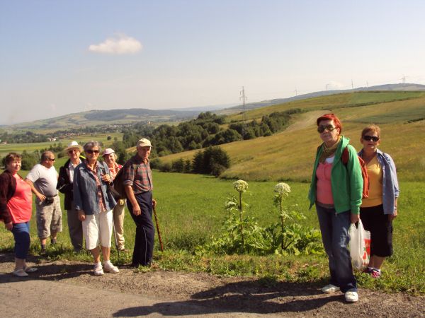 "serce nasze leczy / sens małych, miłych rzeczy" - hen, w dole m. Bukowsko  /jest galeria - zapraszam/ i pasmo Żurawinka - 650m npm z farmą wiatrową. N/z przy b