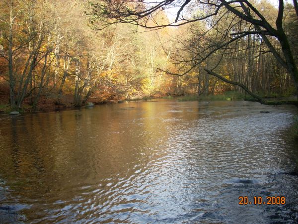 Rzeka Łupawa jesienią.
