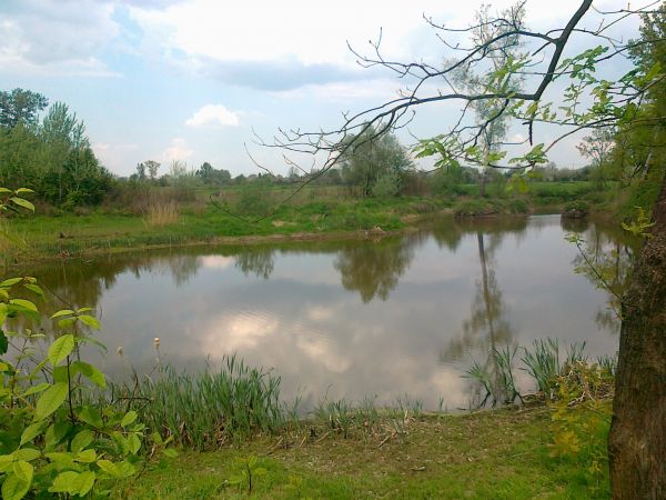 Brzostków posiada dwa naturalne  oczka wodne zwane dumnie jeziorami . Urokliwe jest jezioro u   Ryszarda P. Na wiosnę z daleka słychać rechotanie żab , z bliska