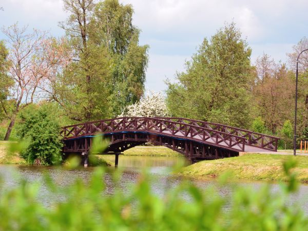 Stawy oleśnickie w majowej scenerii III