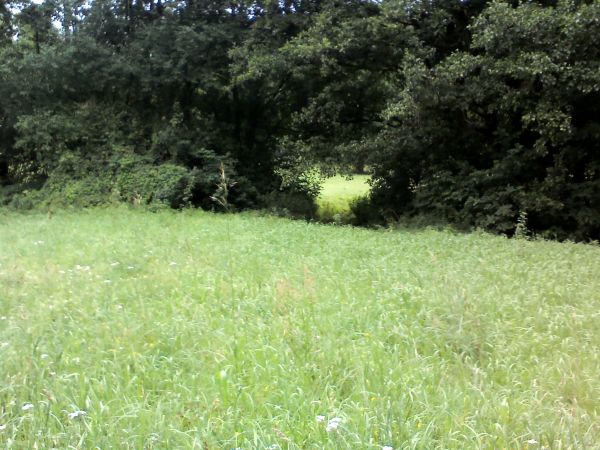 Zdjęcia Nowy Dworek