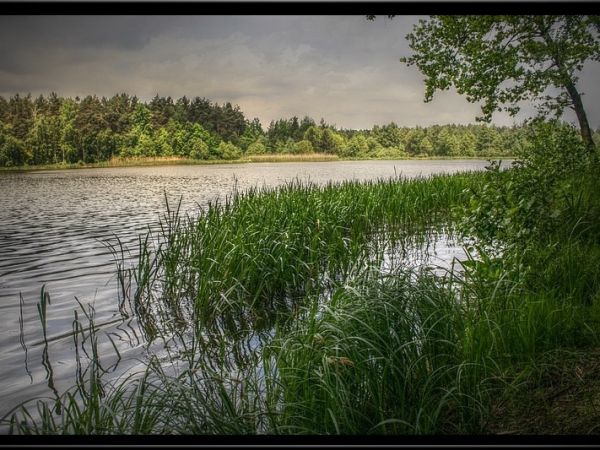 Jezioro Blachownia...