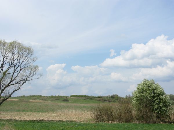 obok drogi przez Poddział, z Czaszyna do Tarnawy Górnej i można przez górę Gruszkę /po "soczystych", obfitych w panoramy - wierzchowinach/ do m. Huzele i na mos