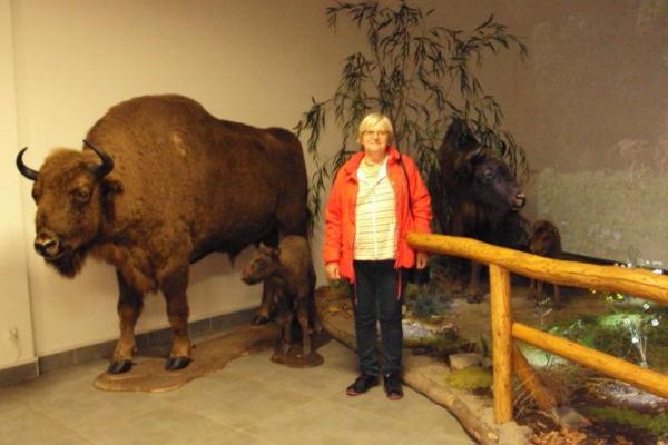 w Muzeum Przyrodniczym - obiekt i bogate ekspozycje niedawno oddane - łatwo przegapić a warto tam być - i dla dorosłych i z dziećmi.