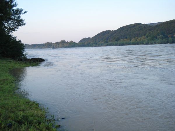 Dunajec