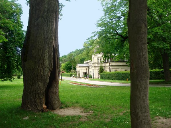 Stare Lazienki w Parku Zdrojowym