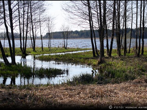 Jezioro Toczyłowo wiosną
