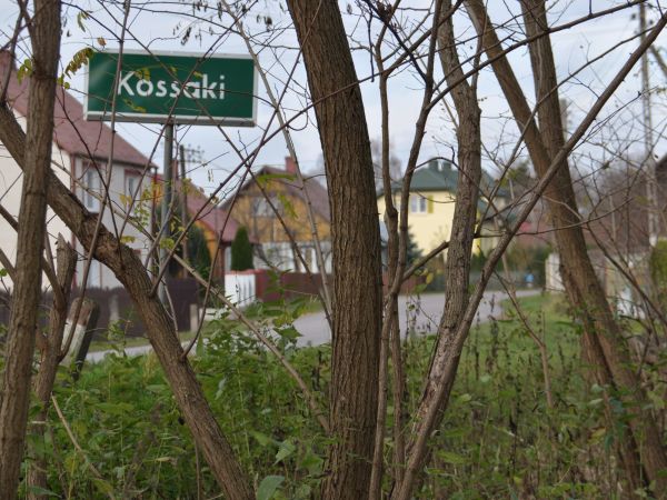 zdjecie Kossaki