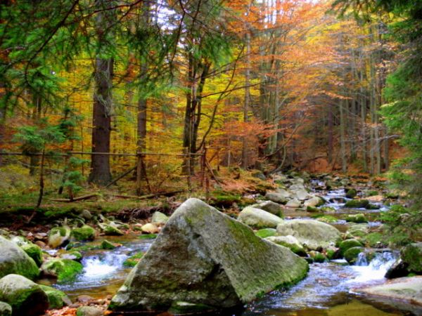 Potok górski w Szklarskiej Porębie