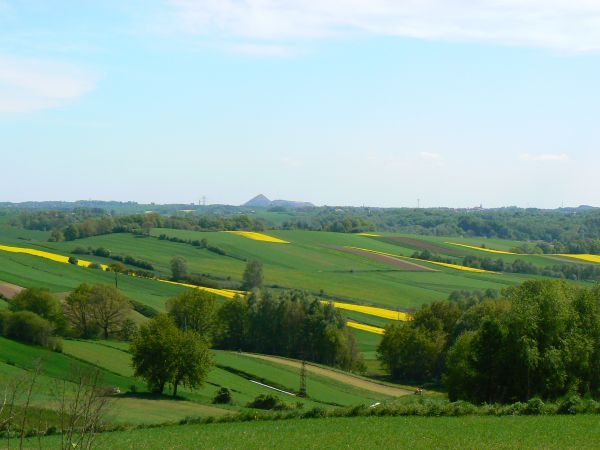 Chałda z okollic Pogrzebienia