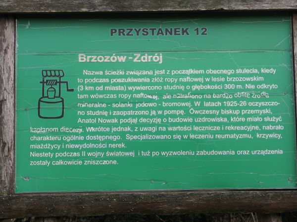 zachętą do poznania przyrody są przygotowane fachowe i z pomysłem "stacje edukacyjne" - aktywizują formy poznawcze na terenie udostępnionym do kształcenia i zwi