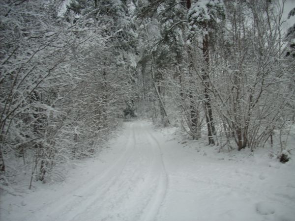 zdjecie Piłatowszczyzna