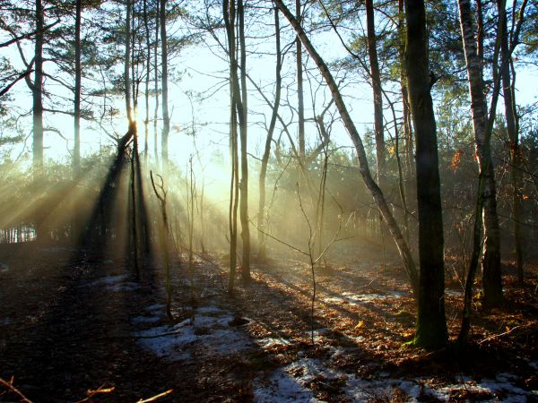 zdjecie Budy Łańcuckie