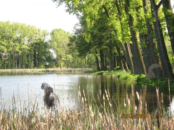 "Jeziórko" w Szamotułach