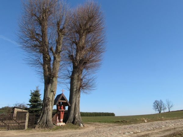 Wstawiono figurkę miedzy drzewa