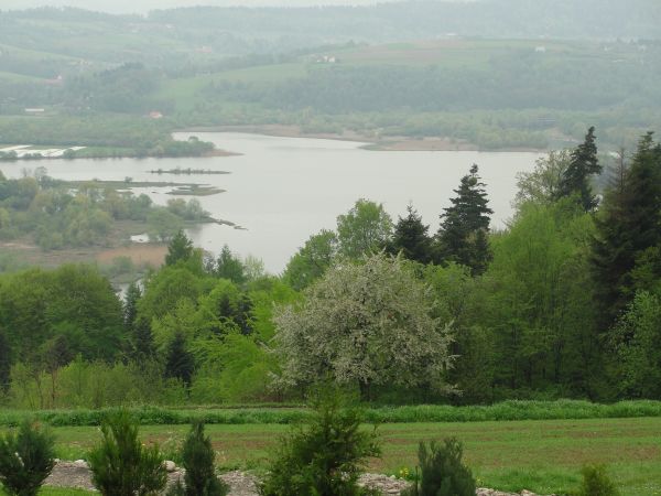 Widok z Wytrzyszczki na rozlewisko Dunajca