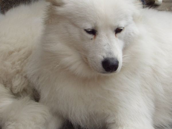 Ja się na wieś nie nadaje, ja tu tylko wypoczywam