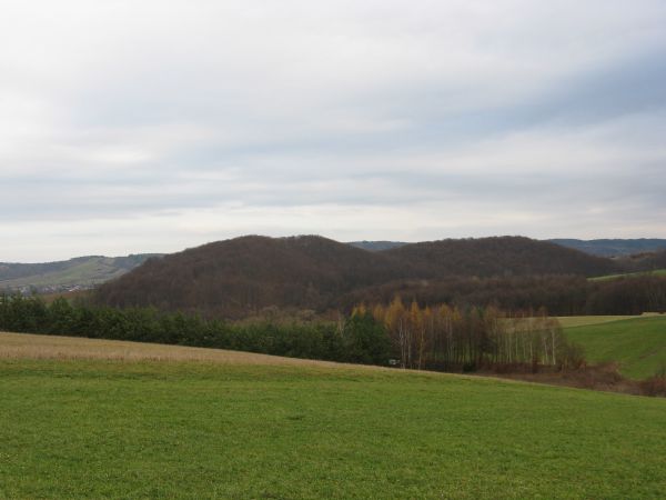 Góra Chełmiec - lasem bukowym pokryta, u leśników: pień drzewa liściastego to kłoda a iglastego to strzała, drzewostan zwarty - silnie zacieniający dno lasu, za