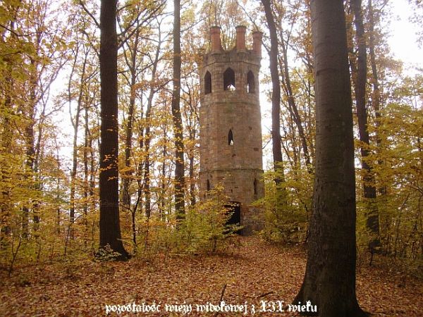 W b. parku z XIX wwieku, teraz lasem podmiejskim