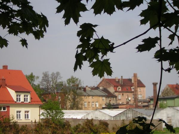 zdjecie Sulechów