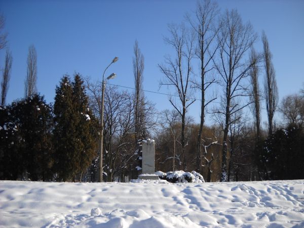 zdjecie Sosnowiec
